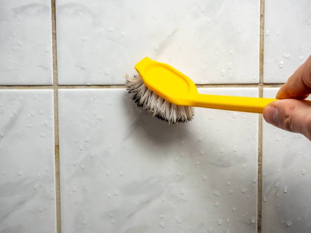 Best Mold Removal Company Near Me  in Bangor Base, WA