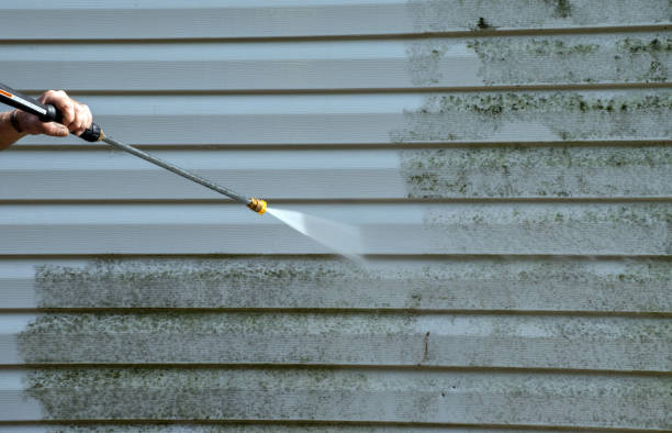 Best Certified Mold Removal  in Bangor Base, WA