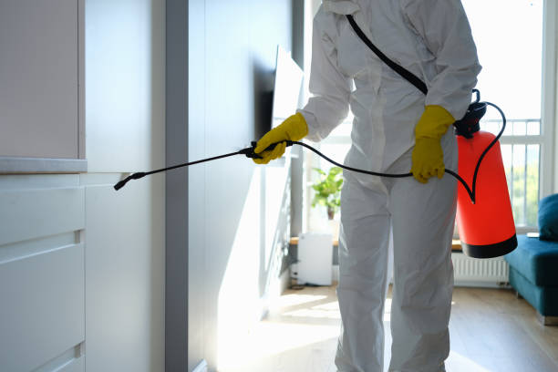 Best Office Mold Removal Services  in Bangor Base, WA