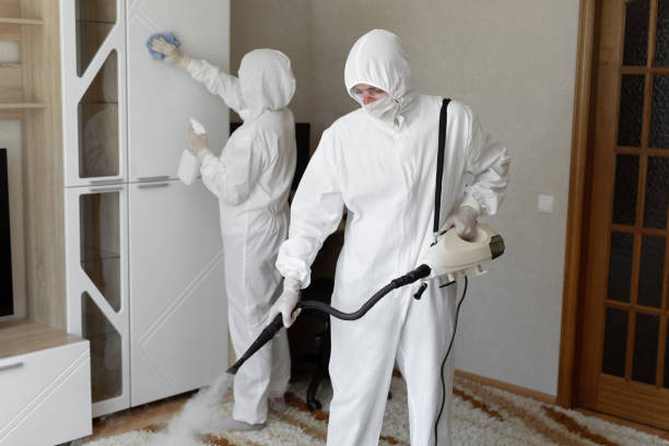 Best Mold Cleaning Services  in Bangor Base, WA