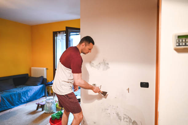 Office Mold Removal Services in Bangor Base, WA