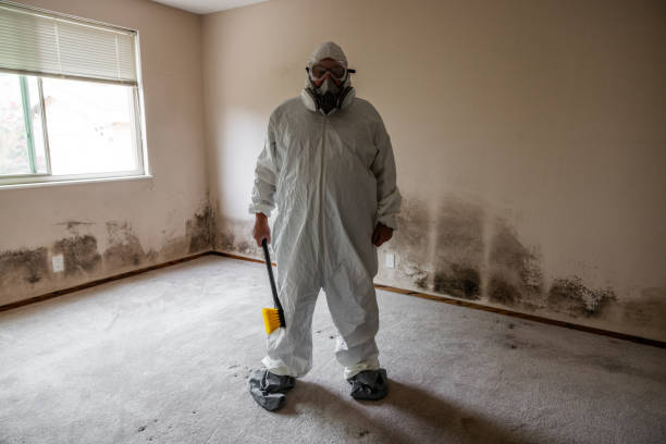 Best Mold Cleaning Services  in Bangor Base, WA